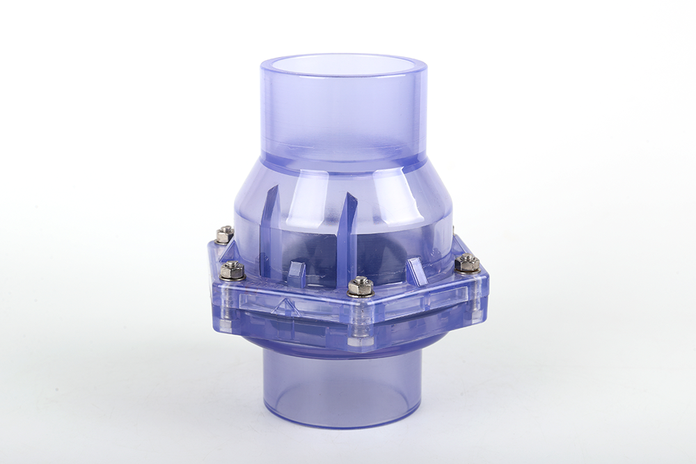 松阳透明翻板式止回阀